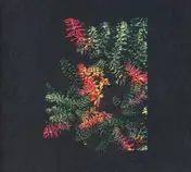 Dark Sky - Othona