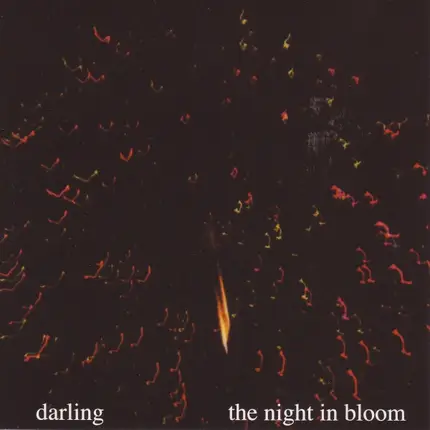 Darling - The Night In Bloom