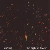 Darling - The Night In Bloom