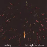 CD - Darling - The Night In Bloom