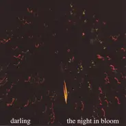Darling - The Night In Bloom