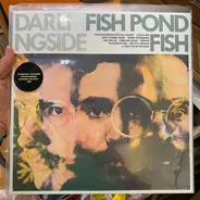 Darlingside - Fish Pond Fish