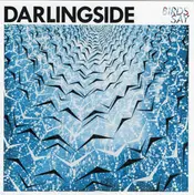 Darlingside - Birds Say