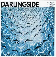 Darlingside - Birds Say