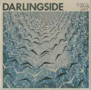 CD - Darlingside - Birds Say - Digipak