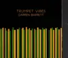 CD - Darren Barret - Trumpet Vibes - Digisleeve