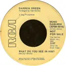 7inch Vinyl Single - Darren Green - What Do You See In Him