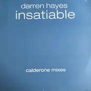 12inch Vinyl Single - Darren Hayes - Insatiable (Calderone Mixes)