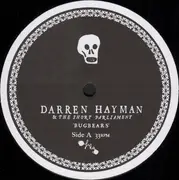 LP - Darren Hayman & The Short Parliament - Bugbears