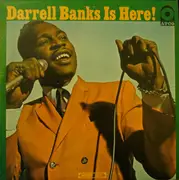 LP - Darrell Banks - Darrell Banks Is Here! - Mono