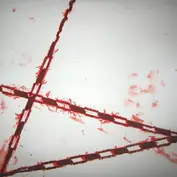 Darrell Slim & the K-Hooch