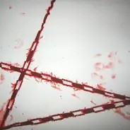 Darrell Slim & the K-Hooch - It's Getting Colder/Ambush From The Rear