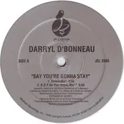 Darryl d'Bonneau - Say You're Gonna Stay