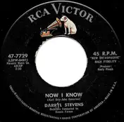 Darryl Stevens - Now I Know / On The Via Vento