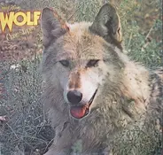 Darryl Way's Wolf - Canis Lupus