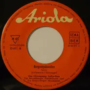 Das Chiemgauer Jodler-Duo - Bergvagabunden / Das War In Ruhpolding