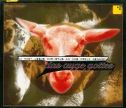 CD Single - Das Auge Gottes - Du Hast Jesus Christus An Das Kreuz Genagelt