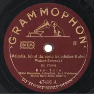Das Bar Trio - Melodia, Hörst Du Mein Heimliches Rufen/ Ganz Leise Kommt Die Nacht