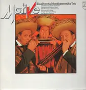 Das Hotcha Mundharmonika Trio