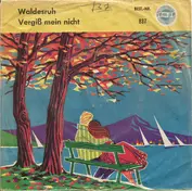 Das Hofner-Duo