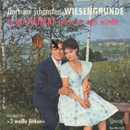 Das Hellberg-Duo und Die Volksmusikanten - Dort Im Schönsten Wiesengrunde / In Der Heimat Sehen Wir Uns Wieder