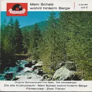 Das Original Schwarzwald-Trio Seitz · Die Heidesänger - Mein Schatz Wohnt Hinterm Berge