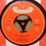 Das Original Schwarzwald-Trio Seitz - Der Verlorene Sohn