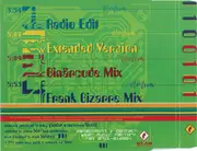 CD Single - Das Modul - 1100101
