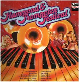 Das Zebra-Studio-Orchester Mit Dem Hammond-Trio - Hammond & Trompeten Festival