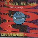 12'' - Databass - A trip in the night
