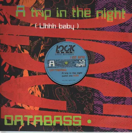 Databass - A trip in the night