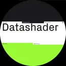 12inch Vinyl Single - Datashader - Digital Entropy - EP