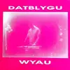 LP - Datblygu - Wyau - RARE WELSH INDIE