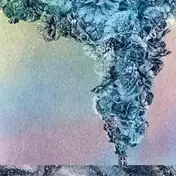 DAUGHN GIBSON - Carnation