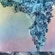 Daughn Gibson - Carnation