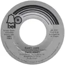 7inch Vinyl Single - Davy Jones - Rainy Jane / Welcome To My Love - Philips Pressing