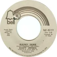 Davy Jones - Rainy Jane