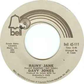 Davy Jones - Rainy Jane