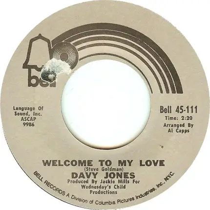 Davy Jones - Rainy Jane