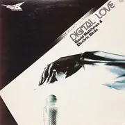 LP - Dave Matthews & The Electric Birds - Digital Love - Promo / OBI