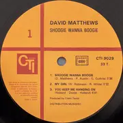 LP - Dave Matthews With Whirlwind - Shoogie Wanna Boogie