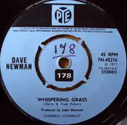 Dave Newman - Whispering Grass