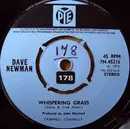 7inch Vinyl Single - Dave Newman - Whispering Grass