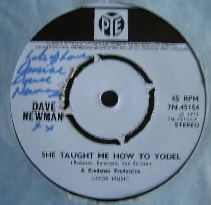 Dave Newman - She Taught Me How To Yodel