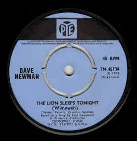 Dave Newman - The Lion Sleeps Tonight (Wimoweh)