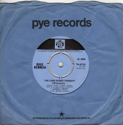 Dave Newman - The Lion Sleeps Tonight (Wimoweh)