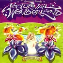 CD - Dave Audé - Nocturnal Wonderland