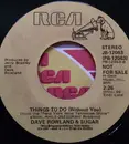 7inch Vinyl Single - Dave And Sugar - A Love Song / Things To Do (Without You)