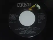 Dave And Sugar - I'm Gonna Love You / I'm Leavin' The Leavin' To You