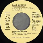 Dave And Sugar - I'm Gonna Love You